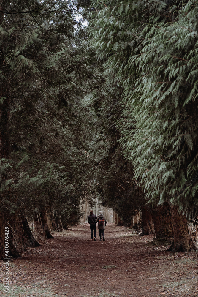 Fototapeta premium Couple doing on a outdoor activity walk in forest.