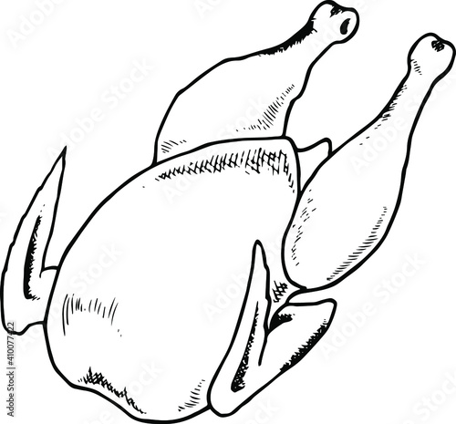 hand drawing in black lines of chicken carcass for cooking