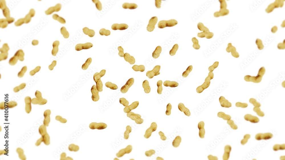 Flying many peanuts on white background. Raw peanuts. Groundnuts in shells. Healthy organic food. 3D loop animation of seed rotating. Flying many peanuts on white background. Raw peanuts. Groundnuts in shells. Healthy organic food. 3D loop animation of seed rotating.