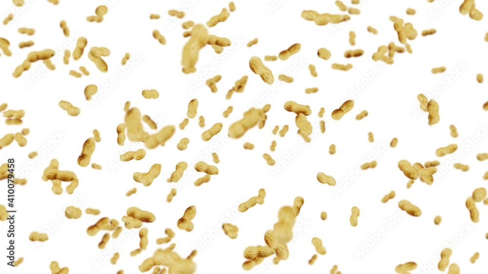 Flying many peanuts on white background. Raw peanuts. Groundnuts in shells. Healthy organic food. 3D loop animation of seed rotating. Flying many peanuts on white background. Raw peanuts. Groundnuts in shells. Healthy organic food. 3D loop animation of seed rotating.