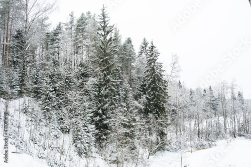 Beautiful atmospheric winter landscape. Snow covered trees in the forest. Winter nature background.