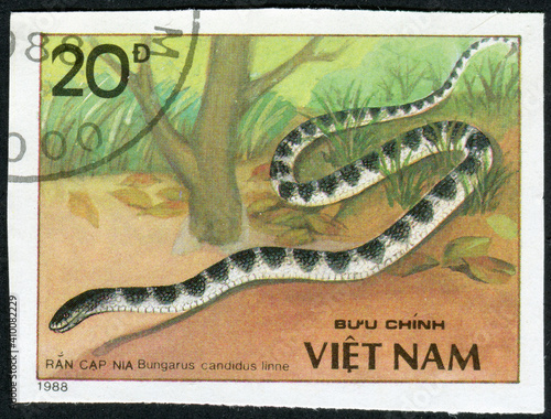 VIETNAM - CIRCA 1988: stamp printed by Vietnam, shows snake bungarus candidus linne photo