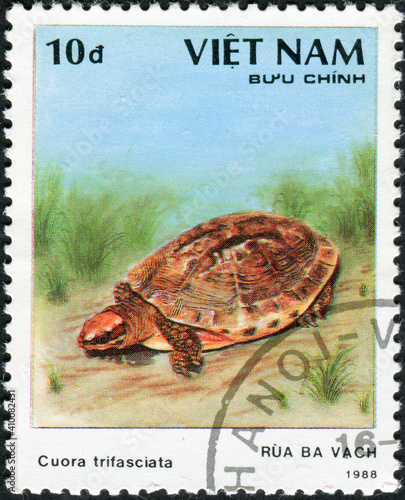 VIETNAM - CIRCA 1988: A stamp printed in Vietnam shows a series of images "species of turtles"