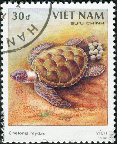 VIETNAM - CIRCA 1988: A stamp printed in Vietnam shows a series of images "species of turtles"