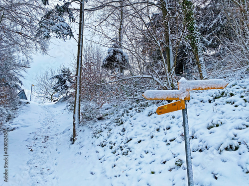 Wonderful winter hiking trails and traces on the fresh alpine snow cover on the slopes of Rigi Mountain and over the Lake Lucerne (Vierwaldstättersee or Vierwaldstaettersee), Weggis - Switzerland photo