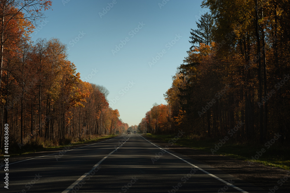 Highway through the forest in the light of the sun