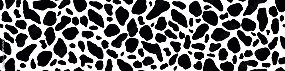 Vector cow pattern seamless background. Black irregular patches on white backdrop. Abstract cows skin texture illustration. Random bovine spots hand drawn design. Farm animal textural all over print
