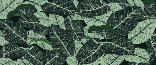 Luxury green leaves background vector. Floral pattern, Tropical leaf with line arts, jungle plants, Exotic pattern with palm leaves. Vector illustration.