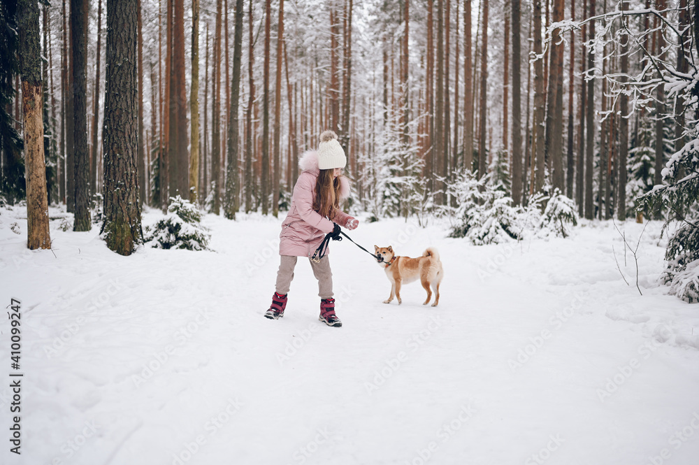 Happy family weekend - little cute girl in pink warm outwear walking having fun with red shiba inu dog in snowy white cold winter forest outdoors. Kids sport vacation activities concept. Happy family weekend - little cute girl in pink warm outwear walking having fun with red shiba inu dog in snowy white cold winter forest outdoors. Kids sport vacation activities concept.