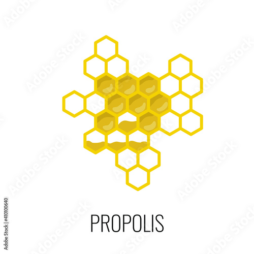 Honeycombs isolated on the white background. Vector illustration