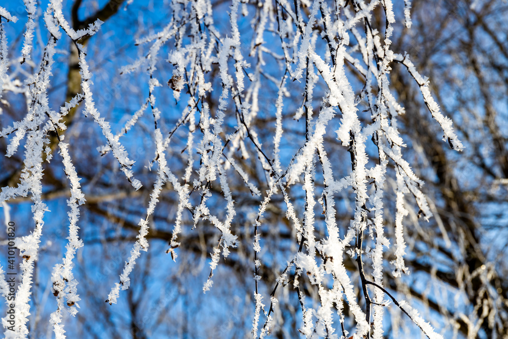 tree branches covered with ice and snow on a blue sky background Stock