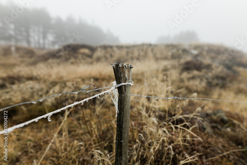 Close-up of a frosted wire fence in winter morning