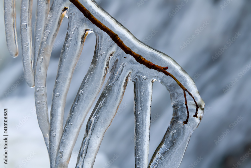Eismantel Zweig Ast Baum gefroren Winter Natur Frost Eis glasklar Eispanzer Mantel Makro Nahaufnahme Details Schutz Wasserfall Spritzer Sauerland Fluss Kälte einfrieren bizarr vergänglich wunder glanz Eismantel Zweig Ast Baum gefroren Winter Natur Frost Eis glasklar Eispanzer Mantel Makro Nahaufnahme Details Schutz Wasserfall Spritzer Sauerland Fluss Kälte einfrieren bizarr vergänglich wunder glanz