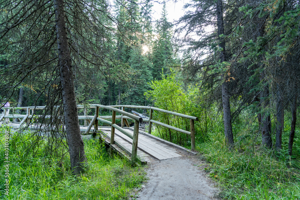 Wooden footbridge in green pine trees forest. Fenland Trail in summer sunny day. Banff National Park, Canadian Rockies, Alberta, Canada.