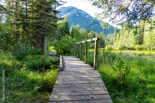 Wooden footbridge in green pine trees forest. Fenland Trail in summer sunny day. Banff National Park, Canadian Rockies, Alberta, Canada.
