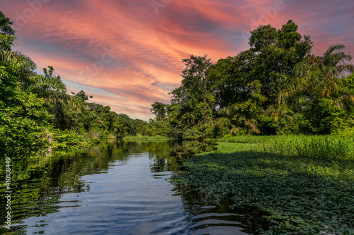 Canal in the national park of Tortuguero with its tropical rainforest along the Caribbean Coast of Costa Rica, Central America. photo