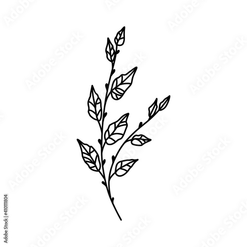 Minimalist flower line art herb. Hand drawn Icon with branch and leaves. Boho floral for logo design. Perfect for wedding invitations, cards, blogs. Vector illustration isolated on white