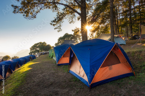 Tourist Camp Tent and Terrace Under Pine Trees Forest During Sunrise, Field Campground for Camping Vacation Adventure Outdoors and Leisure Activity. Backpacking Tourism, Travel Adventures Lifestyles