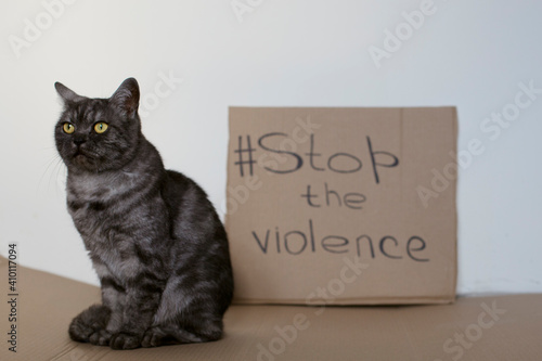 Cardboard sign with the words Stop Violence. Animal cruelty concept. Cat in focus with a call to stop the violence