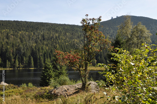 Ausschnit des Kleiner Arbersee mit Blick zum Großen Arber photo