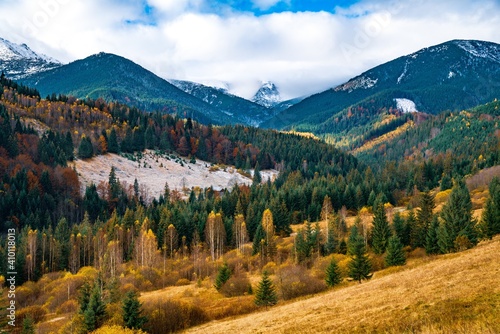 Deforestation in the mountains of Carpathian