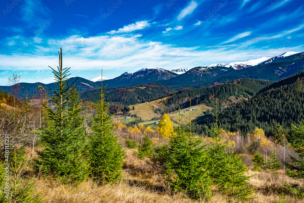 Beautiful forests covering the Carpathian mountains and a small village Beautiful forests covering the Carpathian mountains and a small village