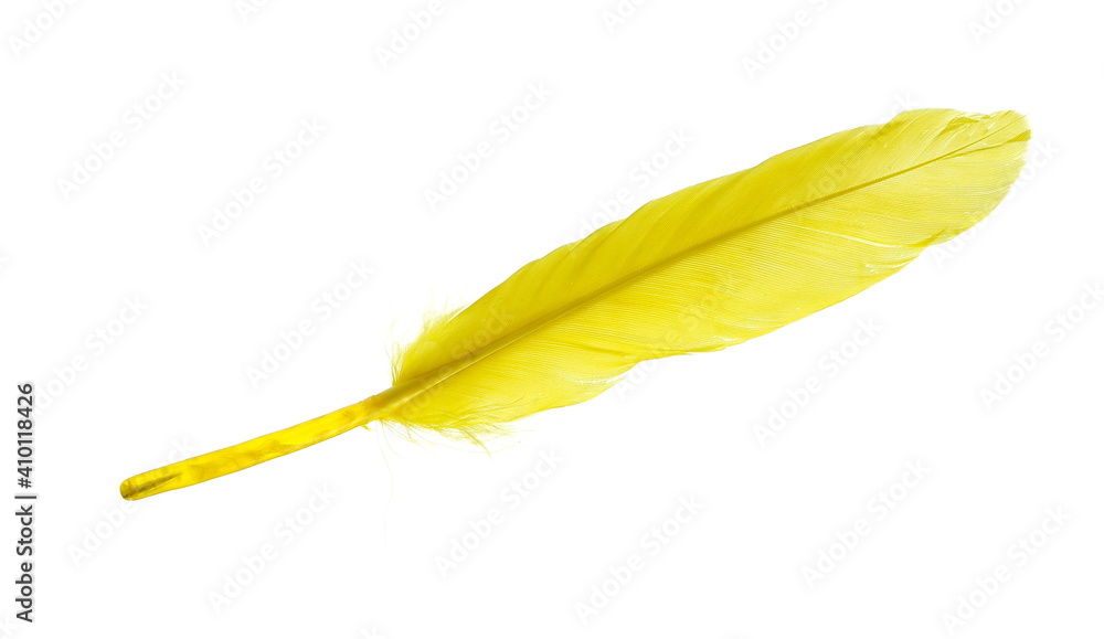 Yellow feather, quill isolated on white background with clipping path Yellow feather, quill isolated on white background with clipping path