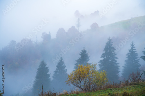 Colorful trees in the Carpathian mountains covered with thick gray fog