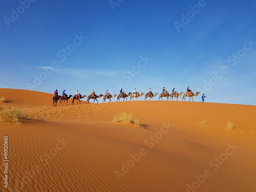 camel caravan in sahara desert