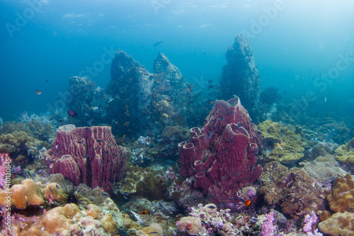 underwater Lipe stonehenge Thailand at Tarutao National Park photo