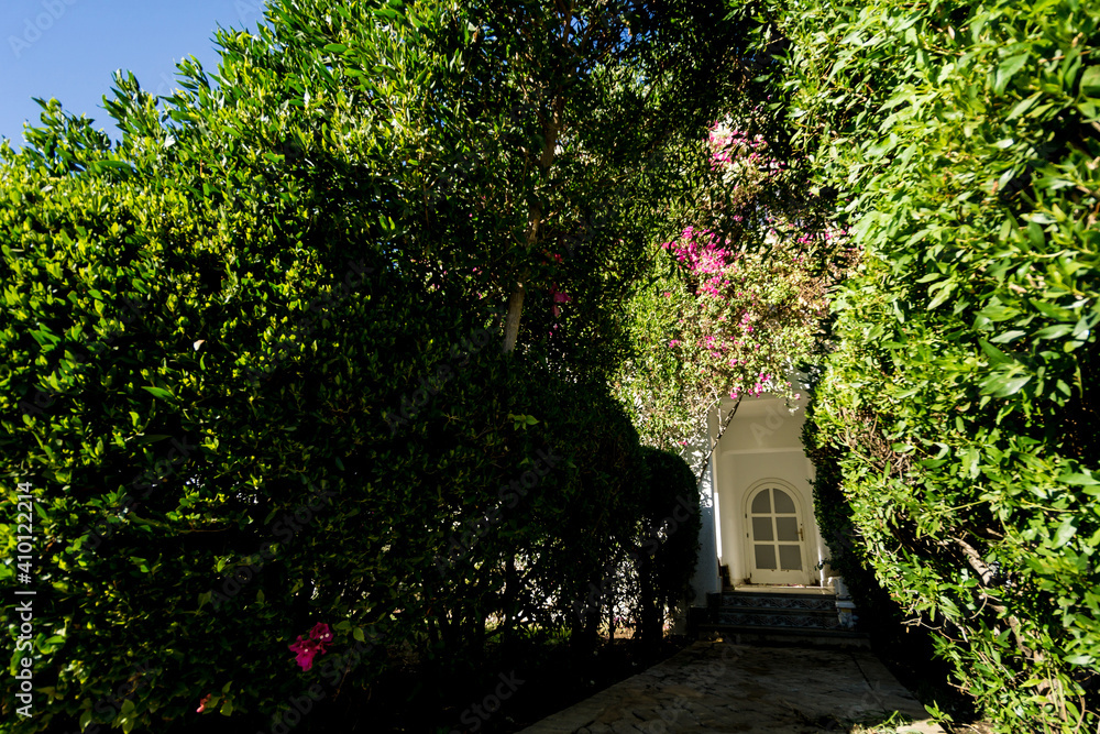 Luxury landscape design of the tropical summer garden Luxury landscape design of the tropical summer garden