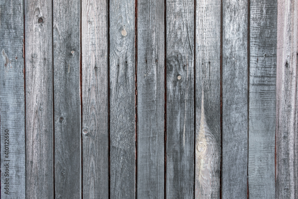 Fototapeta premium wall texture of old gray wood