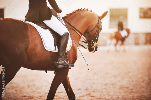 A bay horse with a rider in the saddle, holding a whip in his hand, participates in dressage competitions, and a rival trains in the background. Horse riding. Equestrian sports. photo