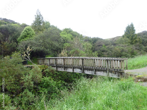 a bridge at the start of the hike in the Mangapohue Natural Bridge Scenic Reserve, Waitomo, Waikato, North Island, New Zealand, November