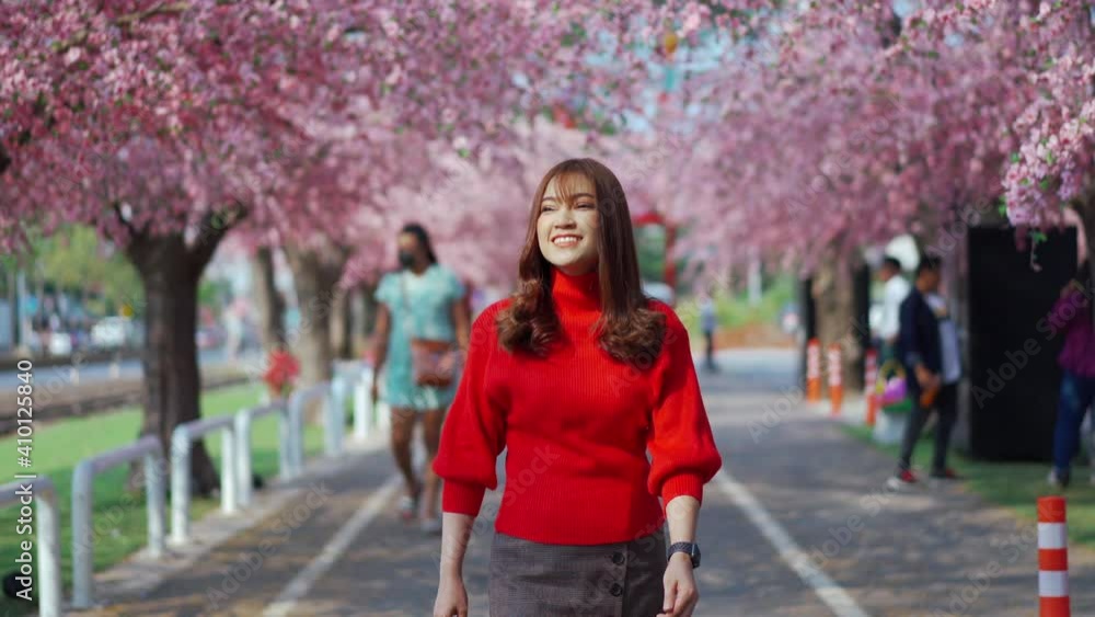 cheerful woman traveler walking and looking cherry blossoms or sakura flower blooming in the park cheerful woman traveler walking and looking cherry blossoms or sakura flower blooming in the park