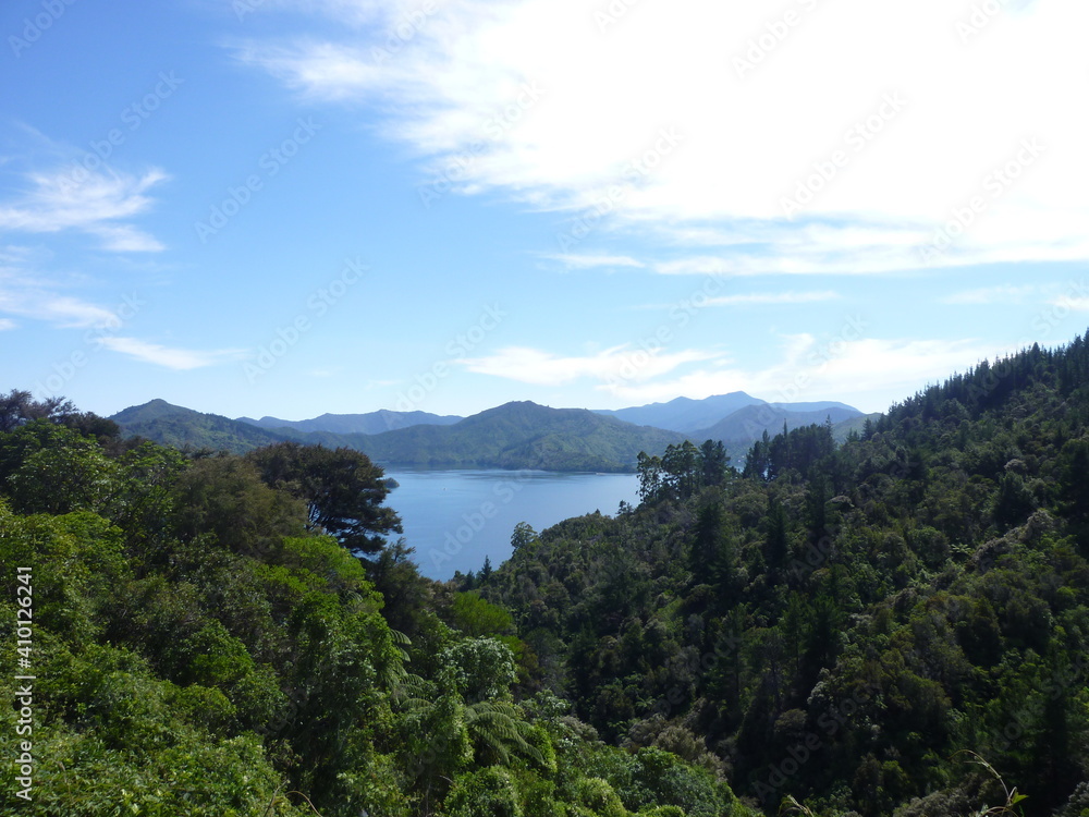 the view from a hiking trail close to the Queen Charlotte Track, in the north of the South Island, New Zealand, February