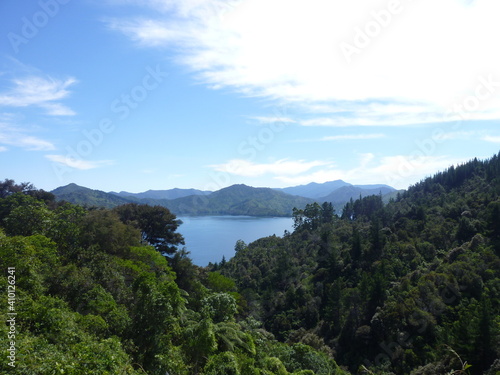 the view from a hiking trail close to the Queen Charlotte Track, in the north of the South Island, New Zealand, February © Miriam