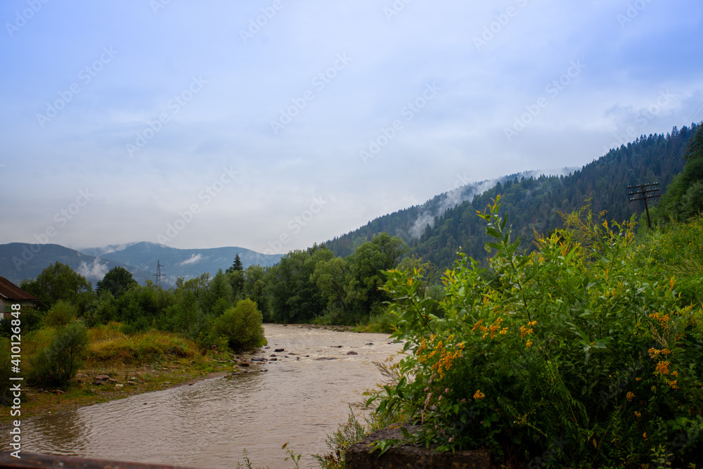 Obraz premium A fast mountainous shallow river rushes over the stones among the mountains, forests and green landscapes. There are tourist trails of the Carpathians