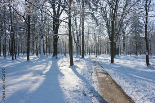 Park Dworski w I  owej w zimowy  s  oneczny dzie  .