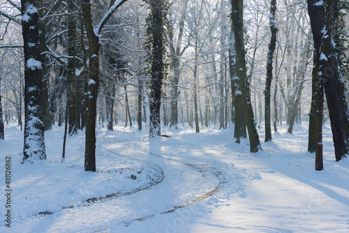 Fototapeta Naklejka Na Ścianę i Meble -  Park Dworski w Iłowej w zimowy, słoneczny dzień.