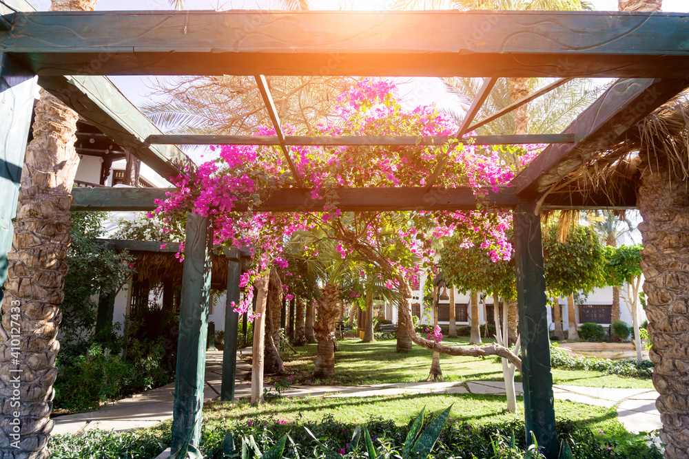 Fototapeta premium Luxury landscape design of the tropical summer garden