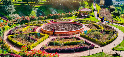 ooty rose garden. tittus moncy  enjoying the beauty of ooty, tourists walking  in background photo