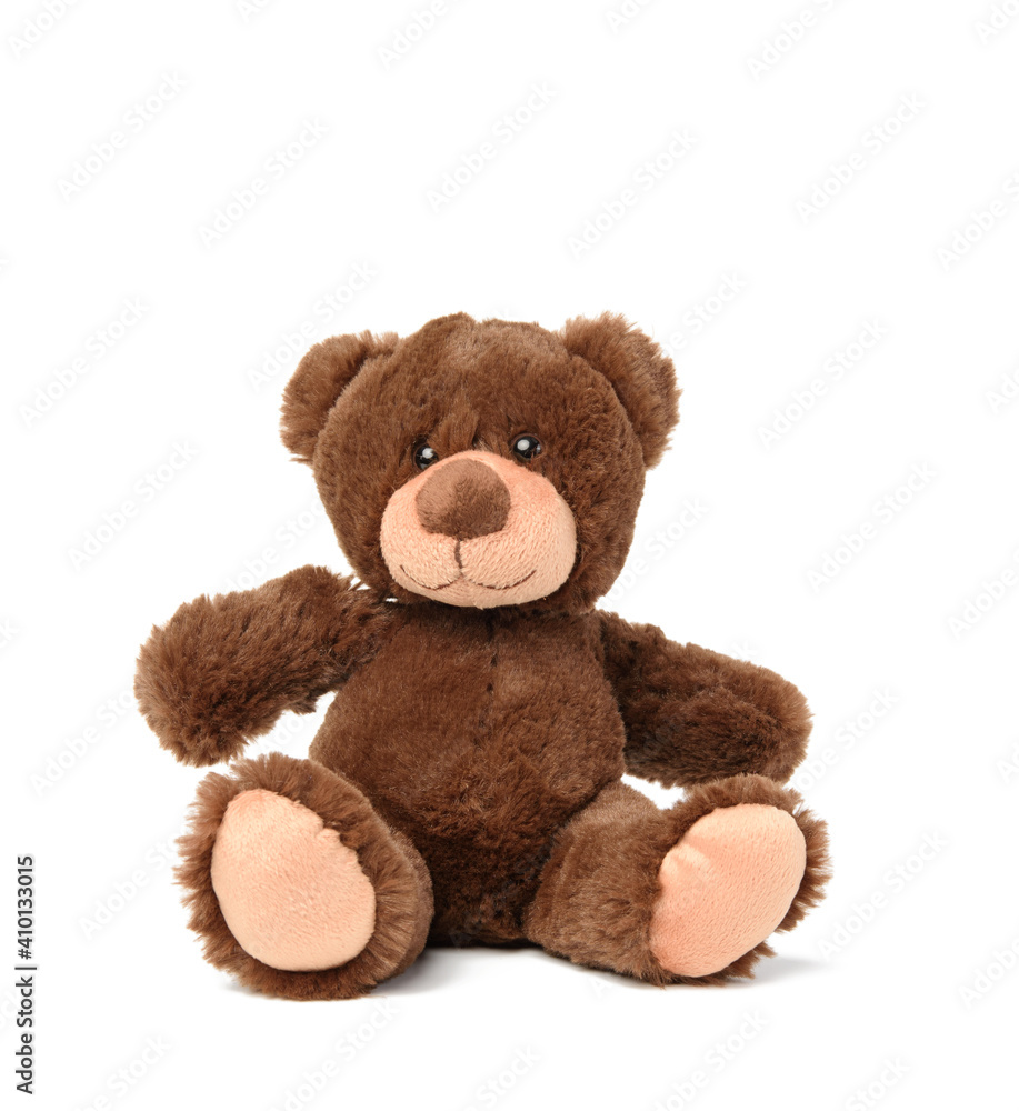 Obraz premium brown teddy bear sits on a white background