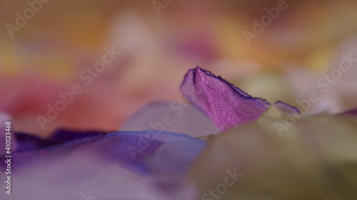 Wallpaper Mural material Torontodigital.ca