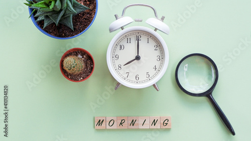 Concept image of morning at 8:00 am with a vintage white alarm clock and indoor plant over green background