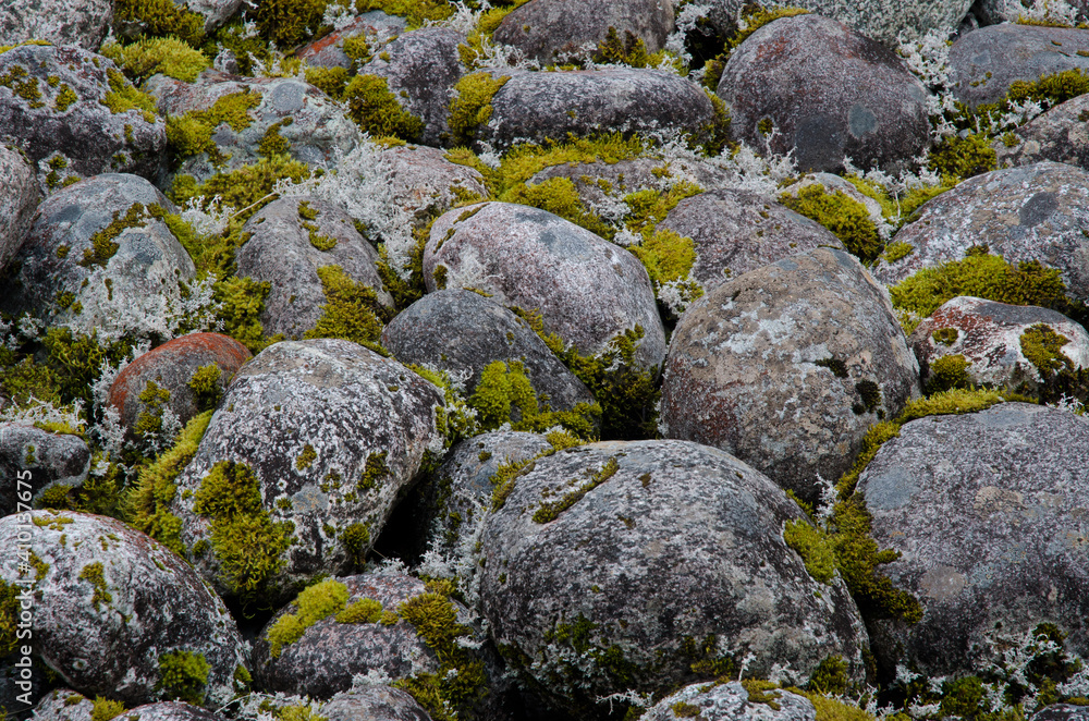 Stones and mosses in Milford. Fiordland National Park. Southland. South Island. New Zealand.