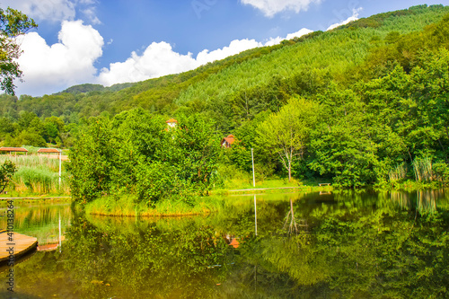 Floating island on the lake Smetes, Serbia photo