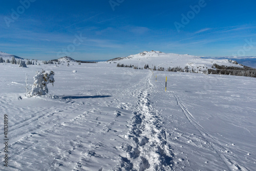 Winter view of Platoto region at Vitosha Mountain, Bulgaria © Stoyan Haytov