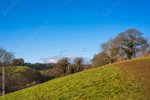 Fields and Meadows of Conqueror Wood, Torquay, Devon in England in Europe © Maciej Olszewski