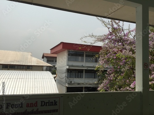 Wallpaper Mural tower and nature Torontodigital.ca